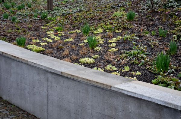 Cost of Concrete Wall Construction in Upland