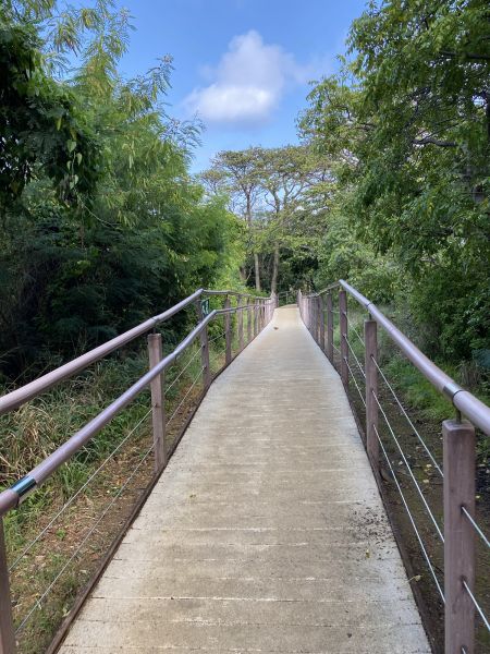 Footpath Construction in Upland