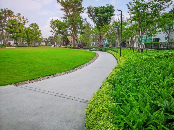 Cement Walkway Service in Upland